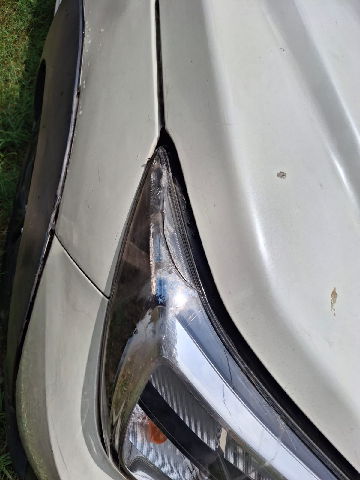 Maruti Suzuki XL6 - Photo 5